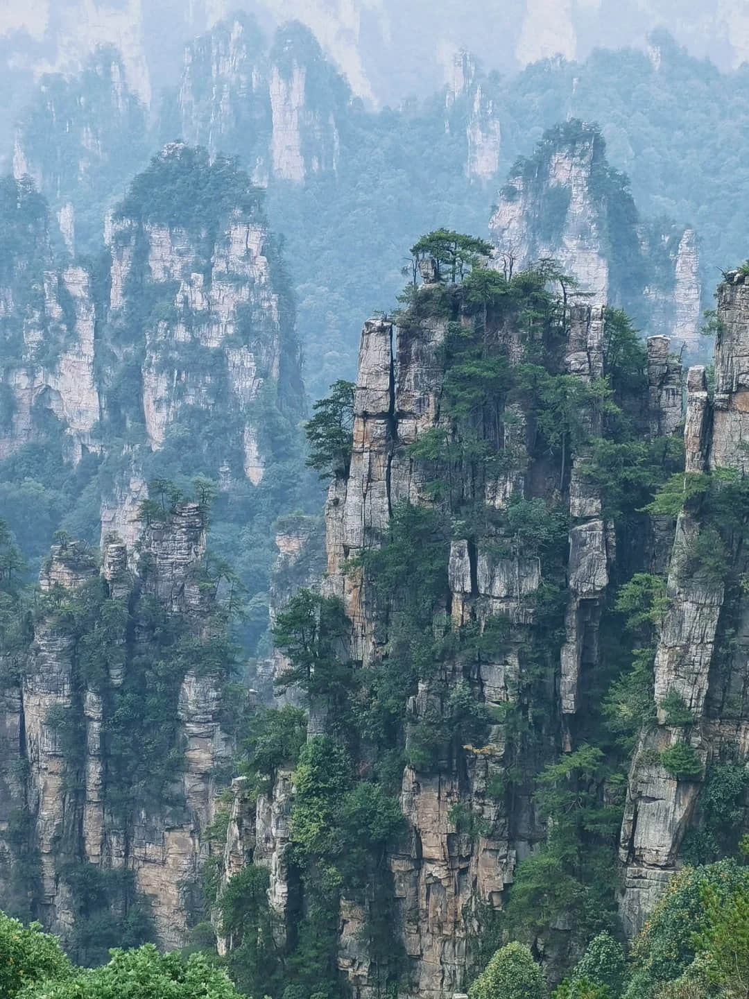 View of Zhangjiajie's peaks from inside the elevator