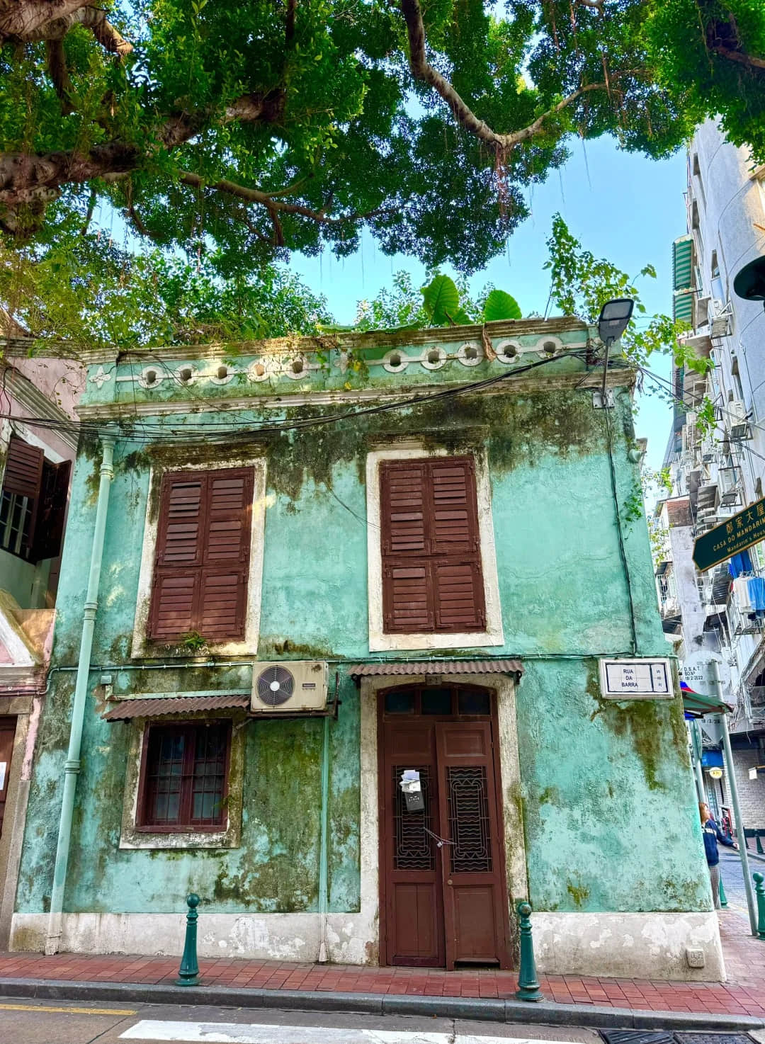 Street view with green buildings and trees in Barra Square