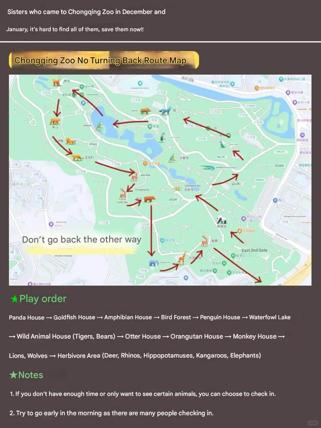 Chongqing Zoo Animal Zones and Route Map