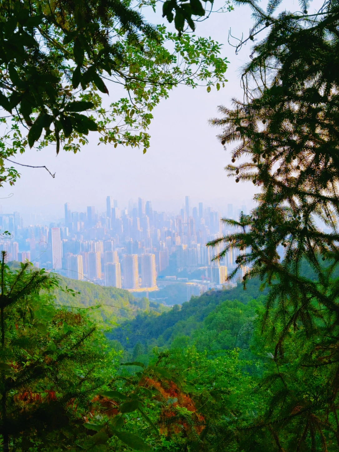 Yihua Night View Park