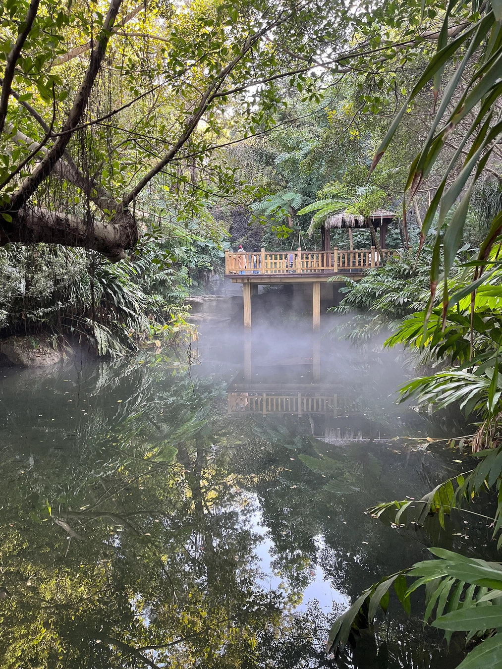 Xiamen Botanical Garden