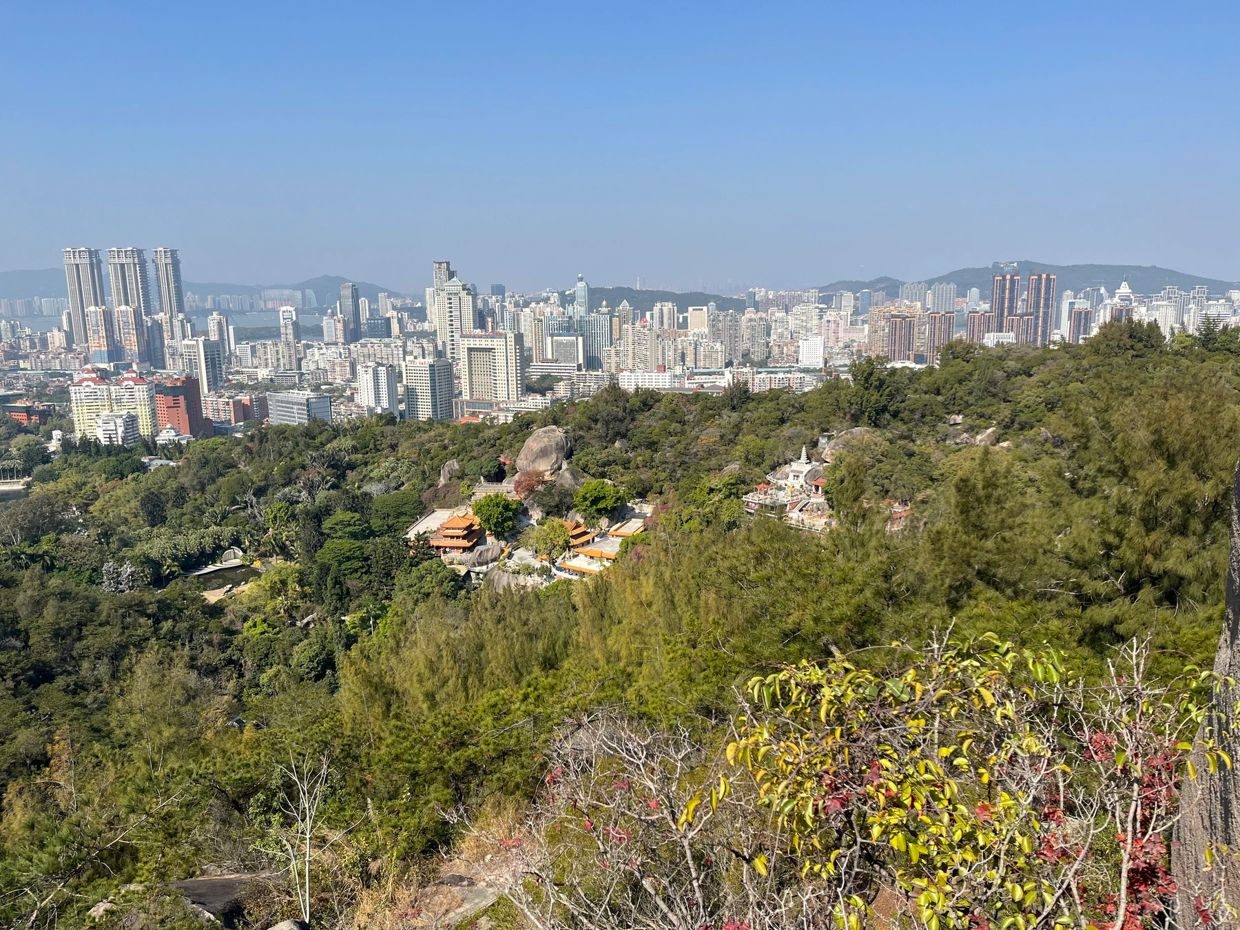 Hillside landscape in Xiamen Botanical Garden