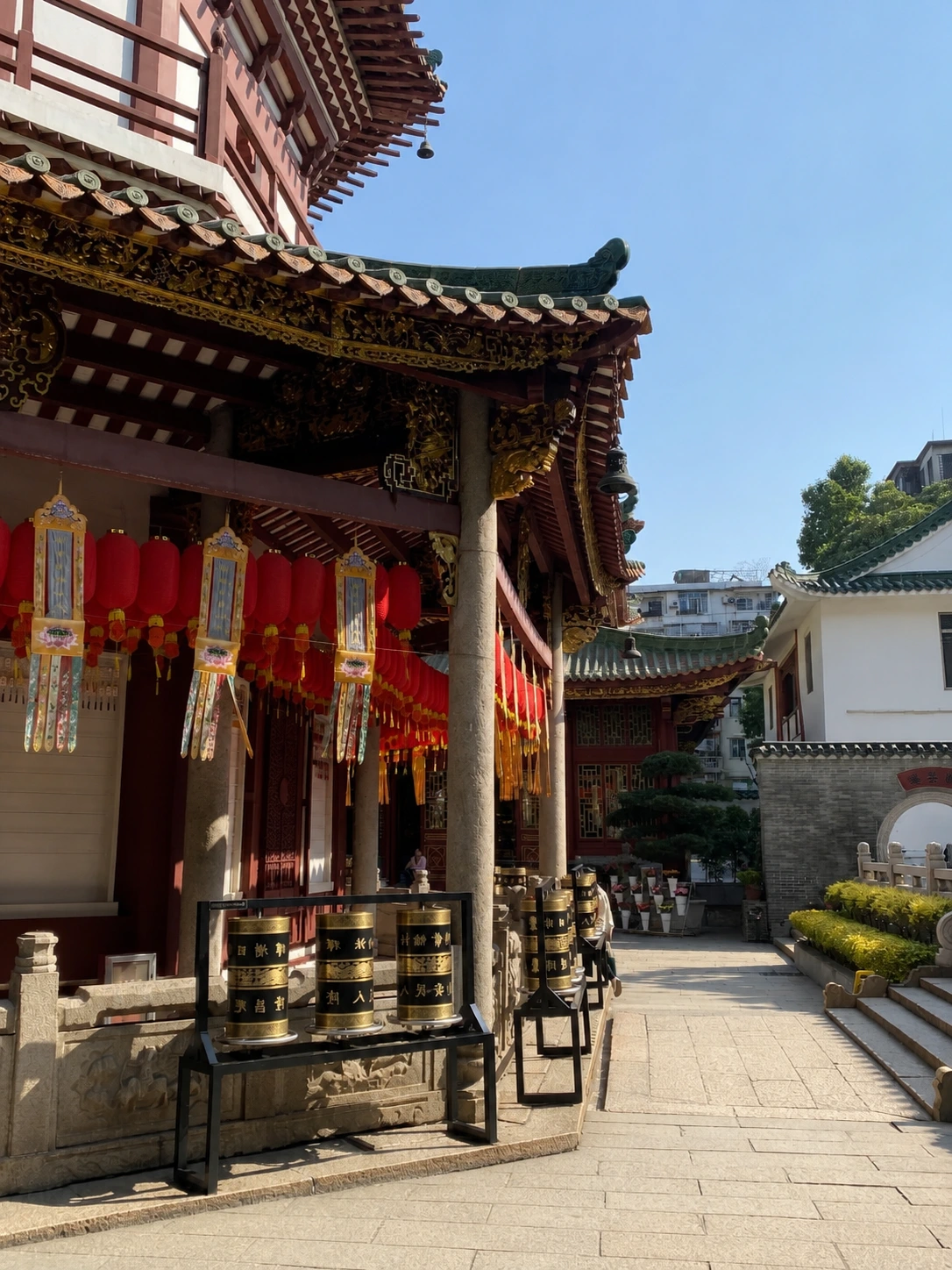 Interior of the Temple of Six Banyan Trees