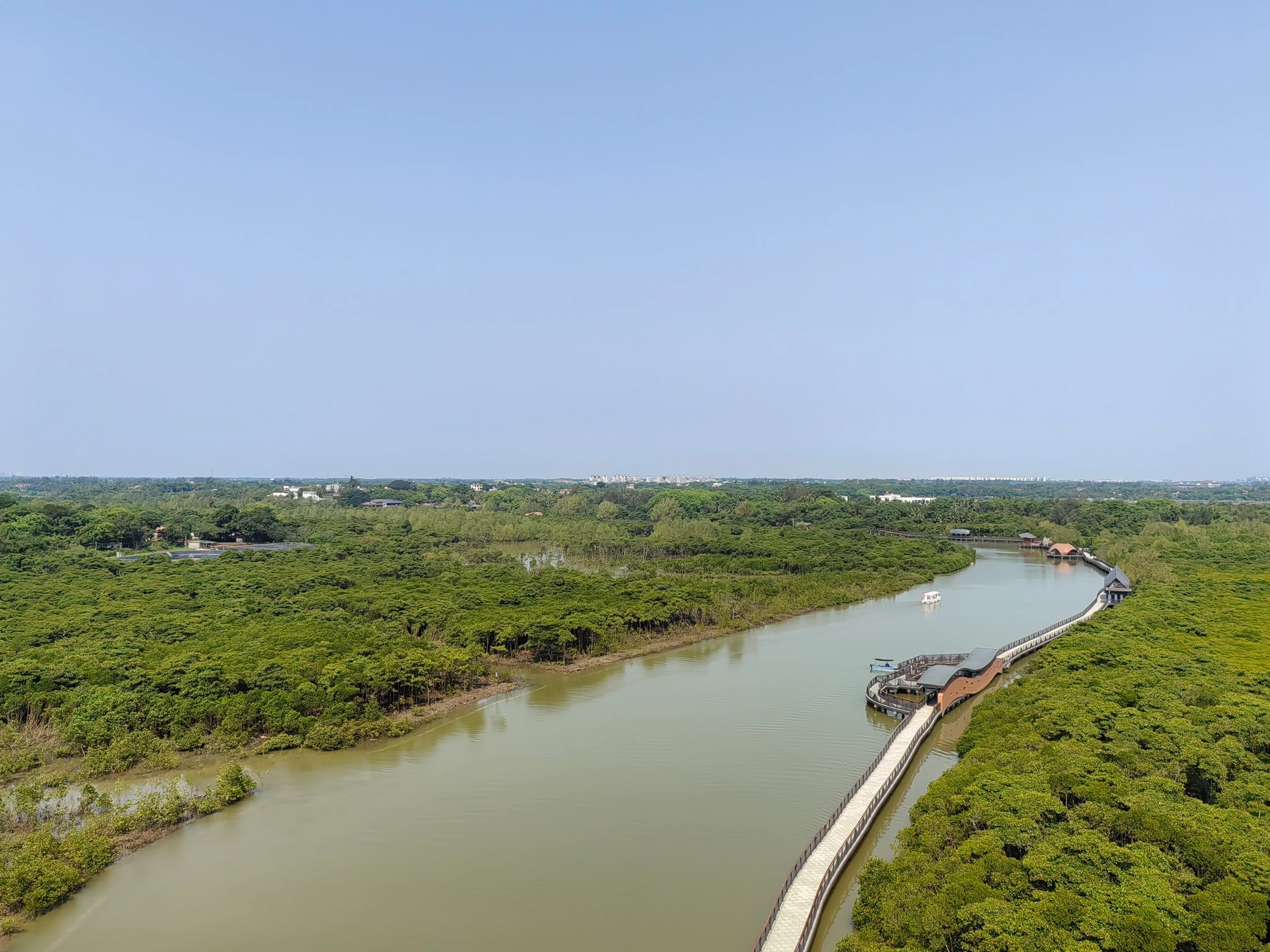 Dongzhai Harbour Mangrove