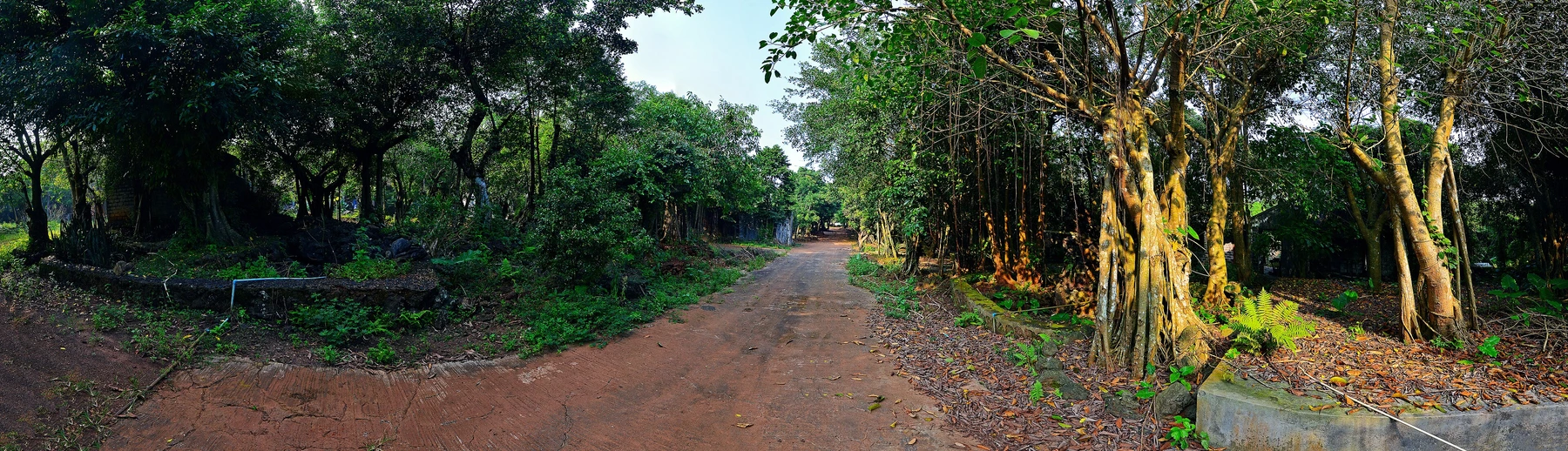 Tree-lined path through Shishan's volcanic village landscape