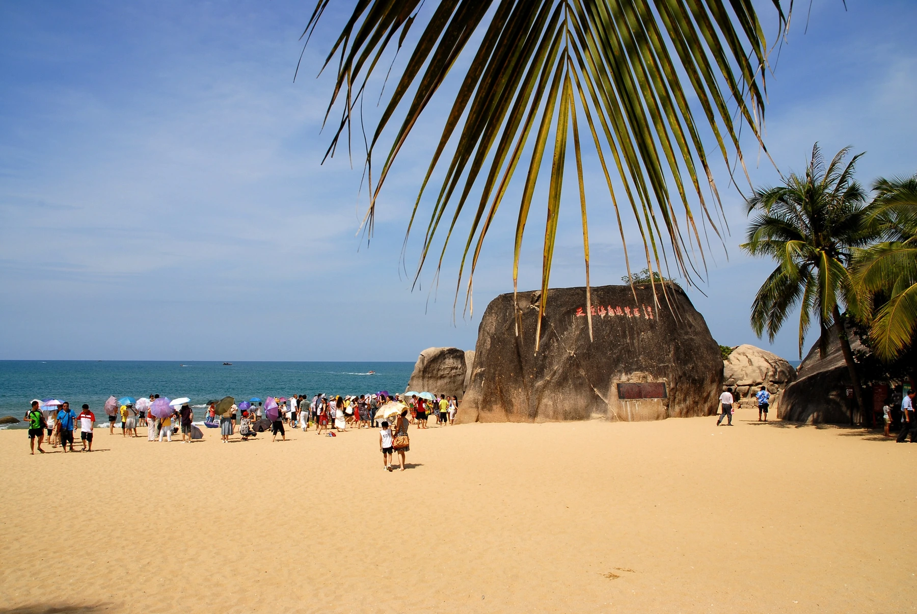 Palm-lined rocky shoreline at Tianya Haijiao in Sanya