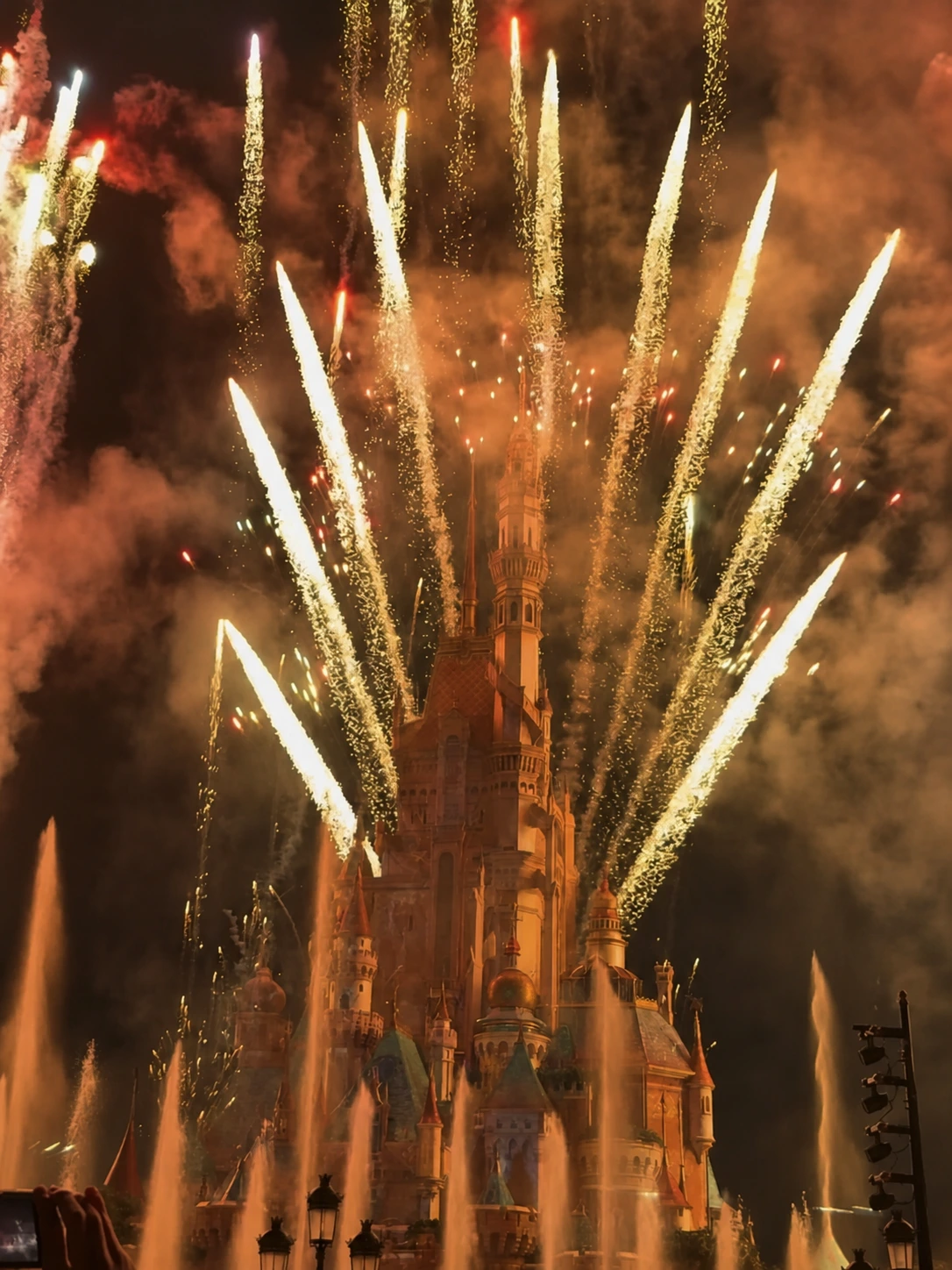 Disney Castle fireworks at night