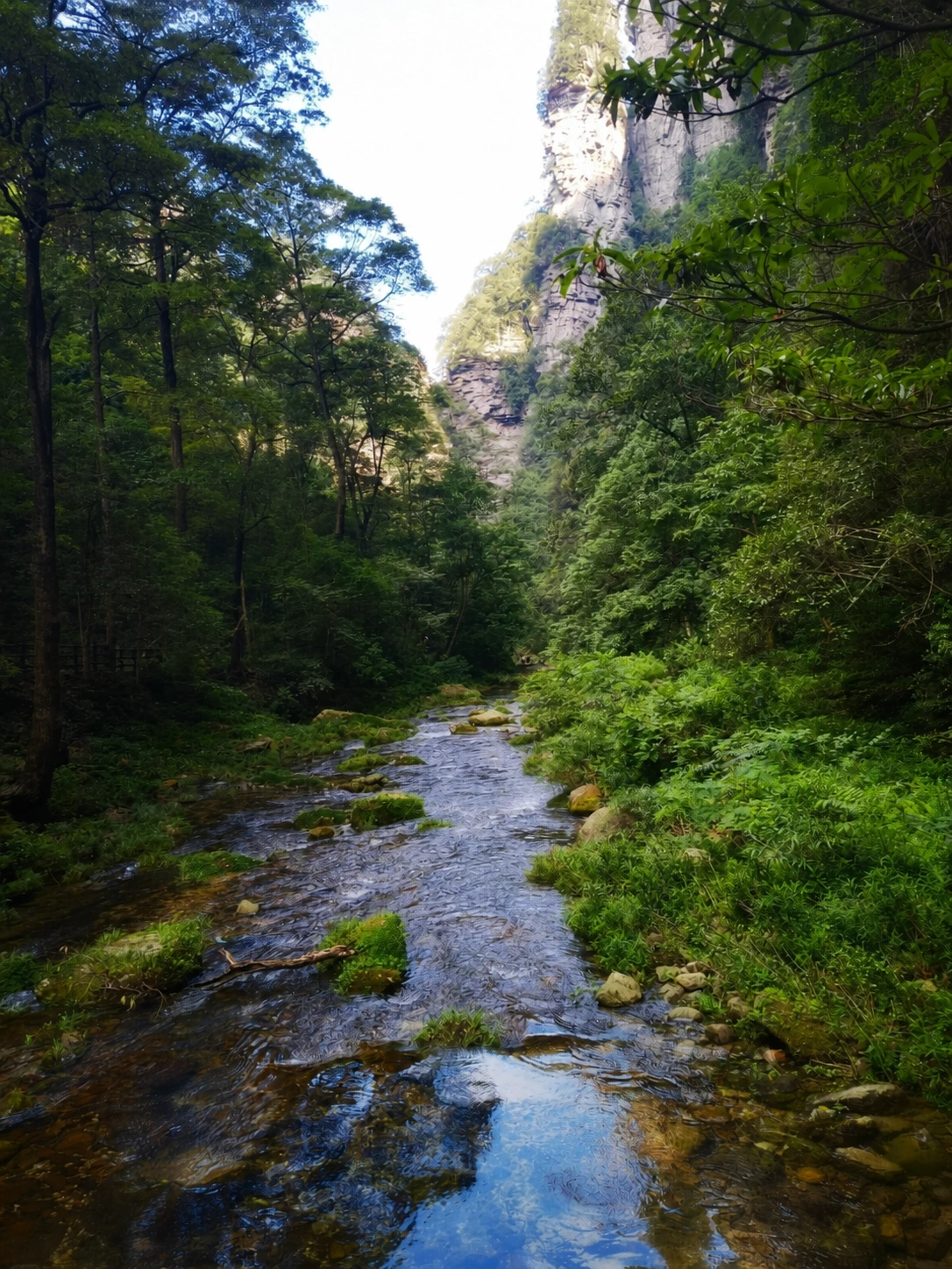 Scenic walking path along Golden Whip Stream surrounded by towering peaks