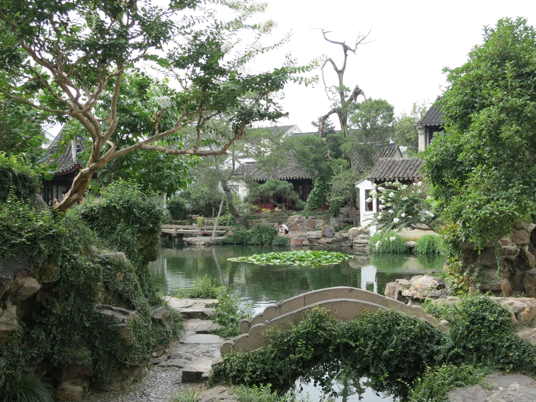 Main pond, bridge and dense planting in the Master of the Nets Garden