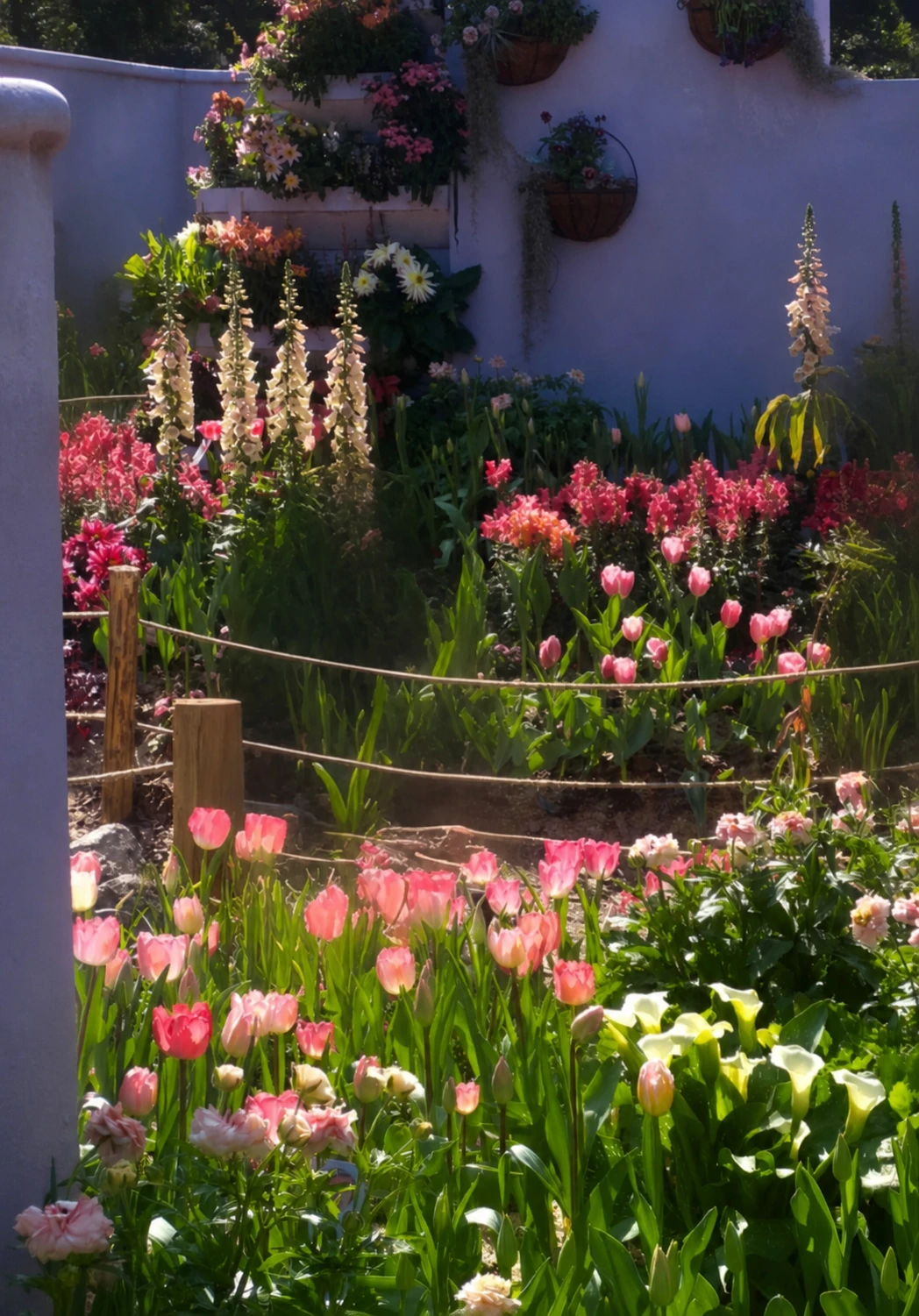 Fairy Lake Botanical Garden