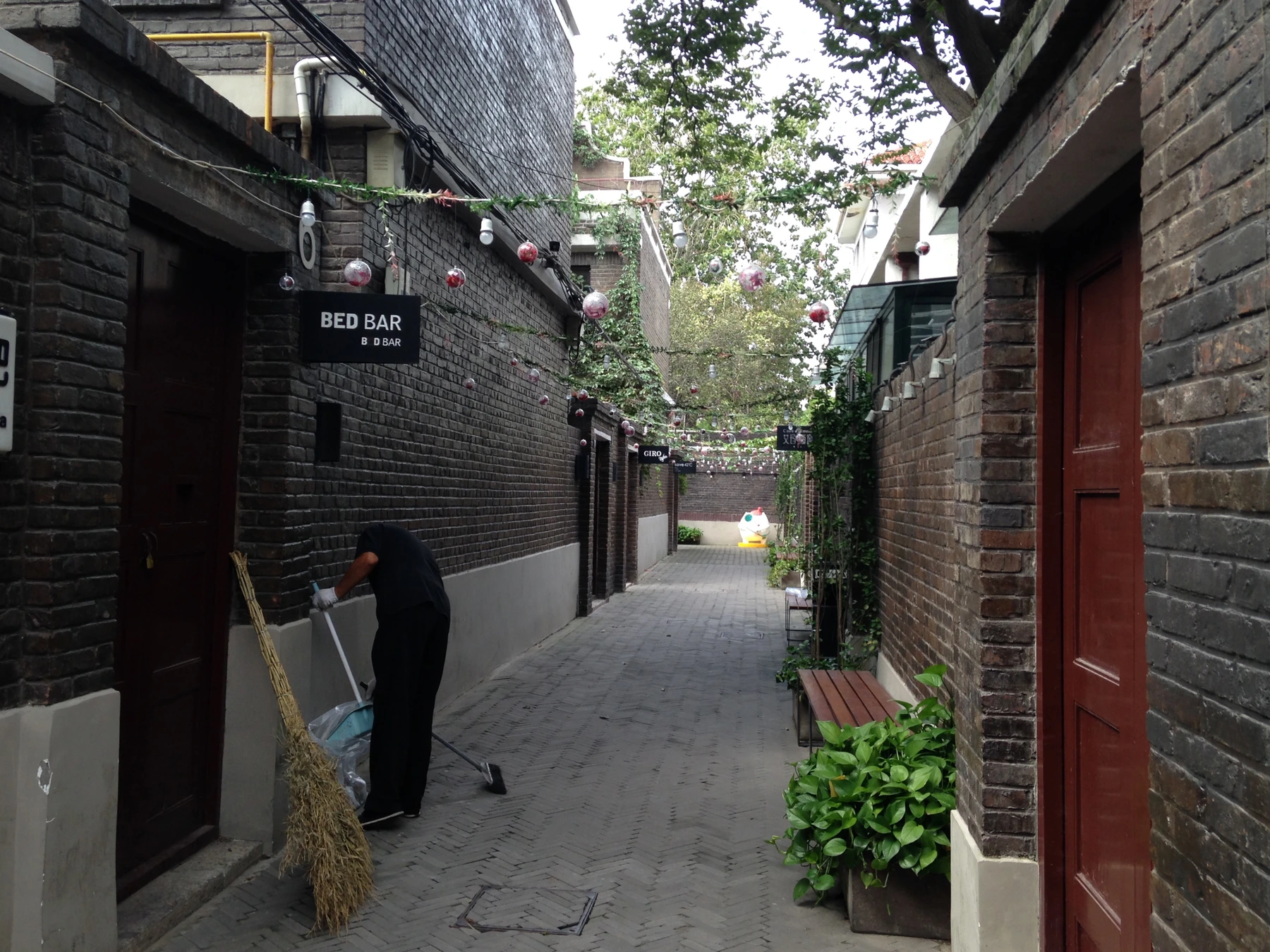 Tree-lined historic residential lane in Tianjin's Five Great Avenues