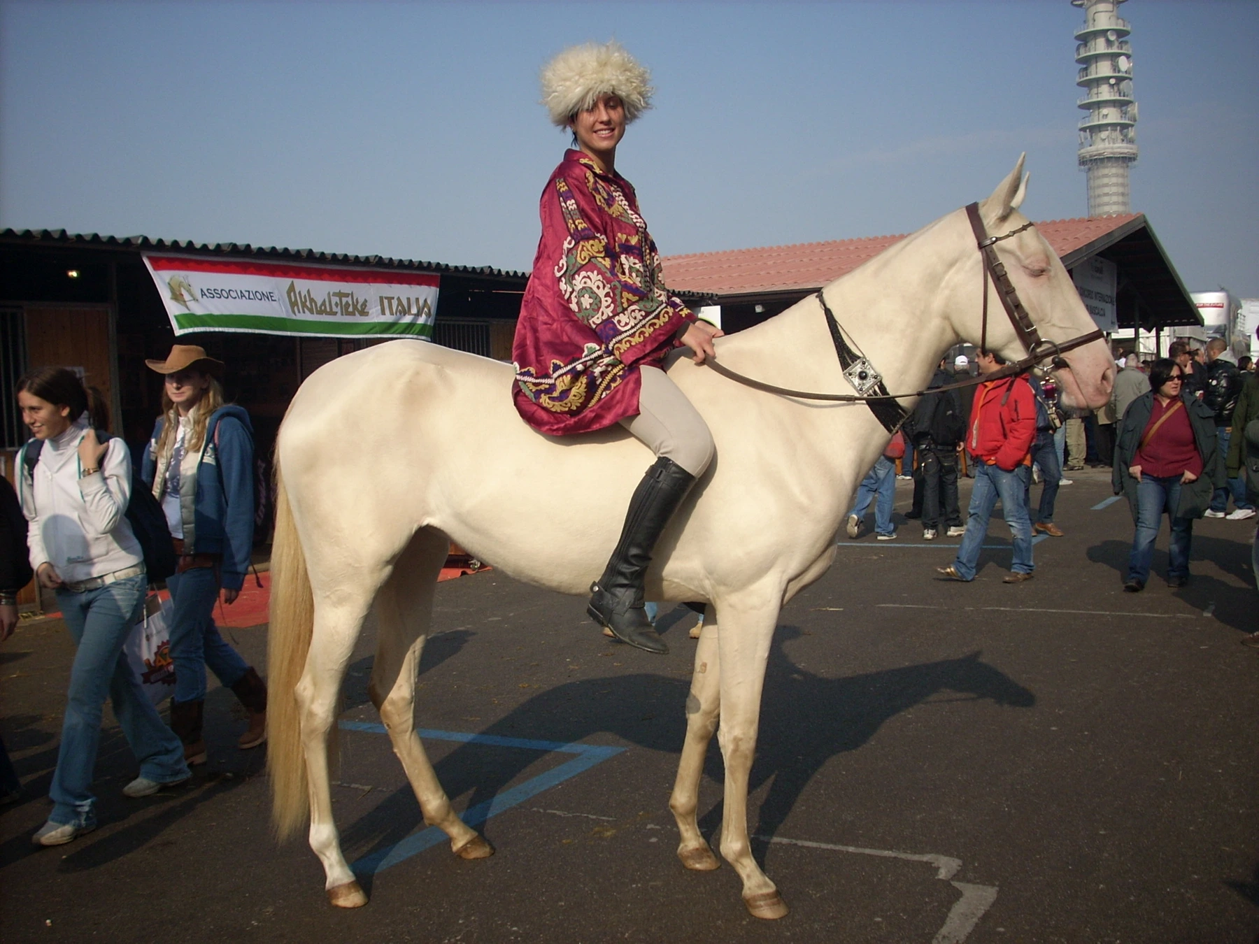 Representative Akhal-Teke horse profile shown for breed context, not as a view of the Urumqi park