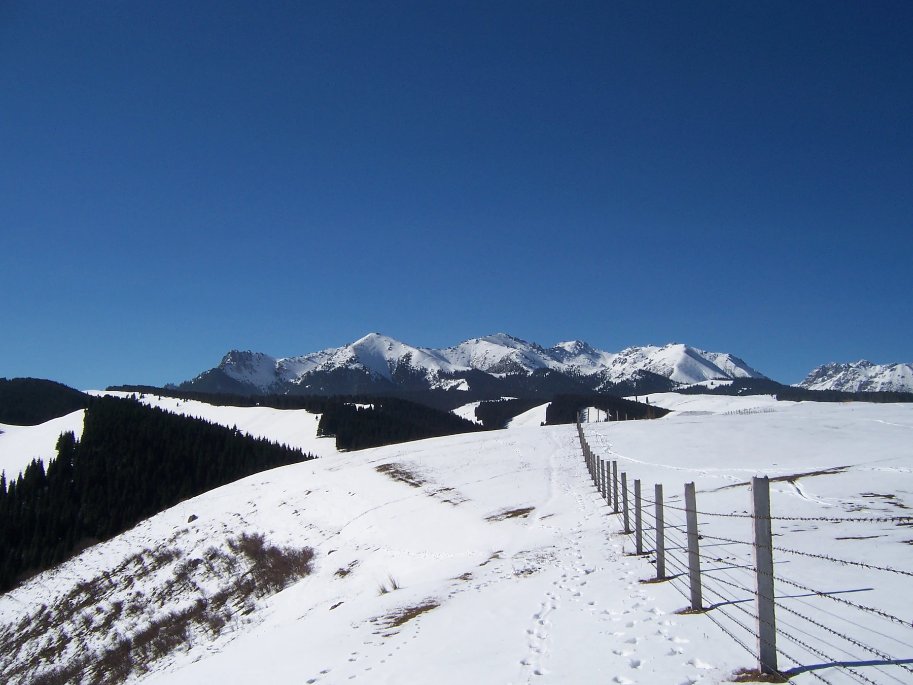 Snow-covered high landscape and fence line in Urumqi's Nanshan area