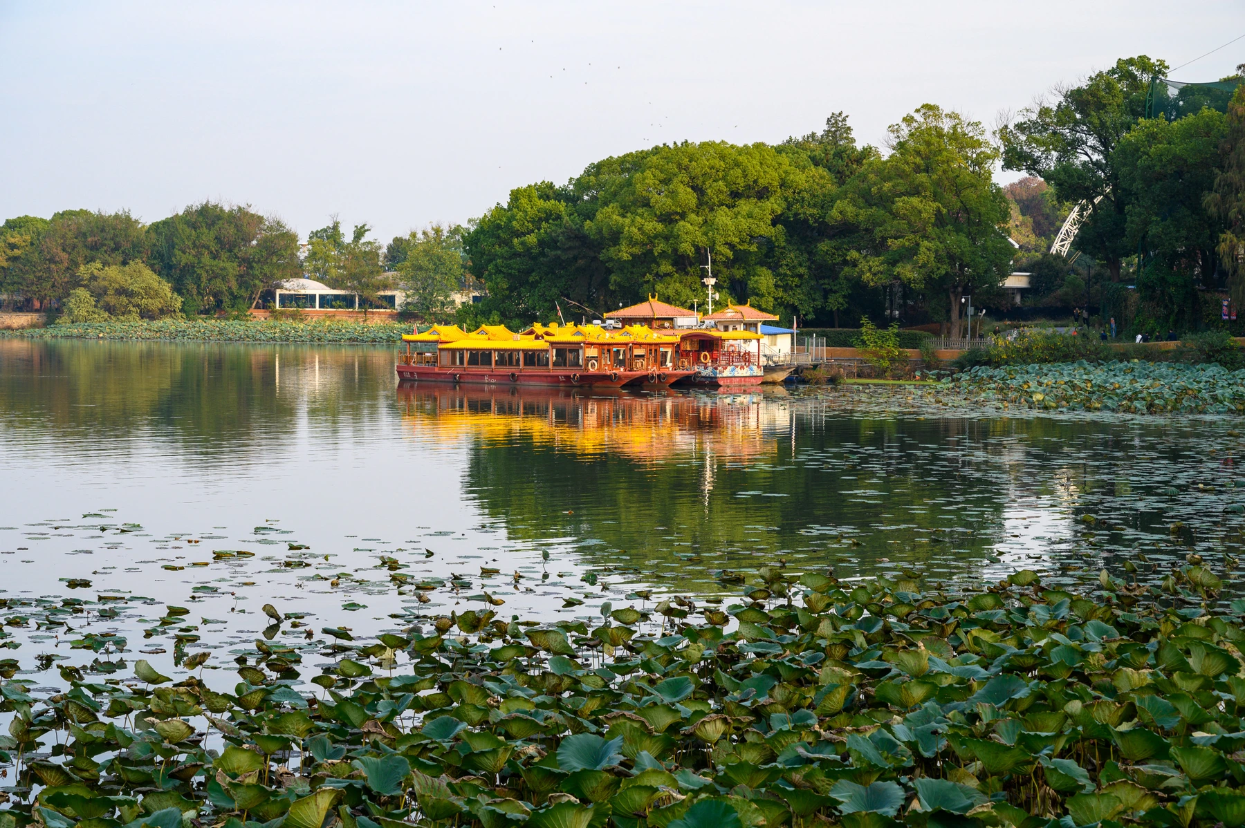 Landscaped causeway and greenery beside East Lake in Wuhan