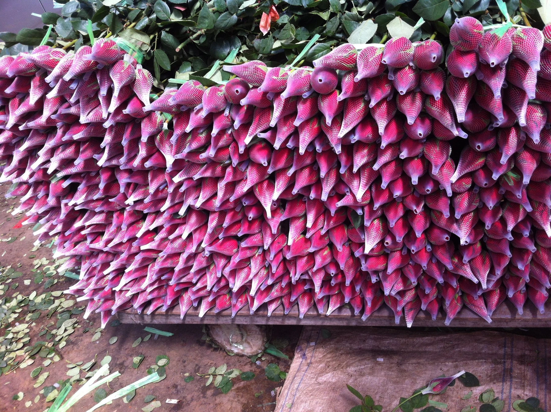 Rows of wrapped pink flower bouquets prepared for sale at Dounan
