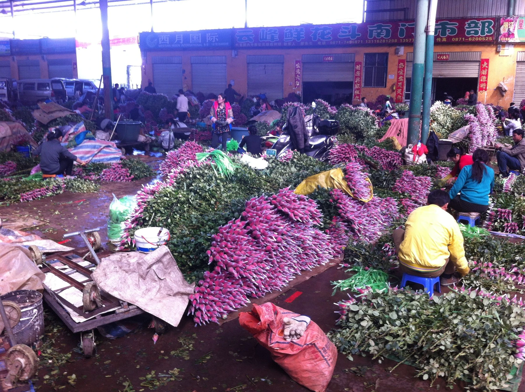 Bundles and vendors inside Kunming's Dounan Flower Market