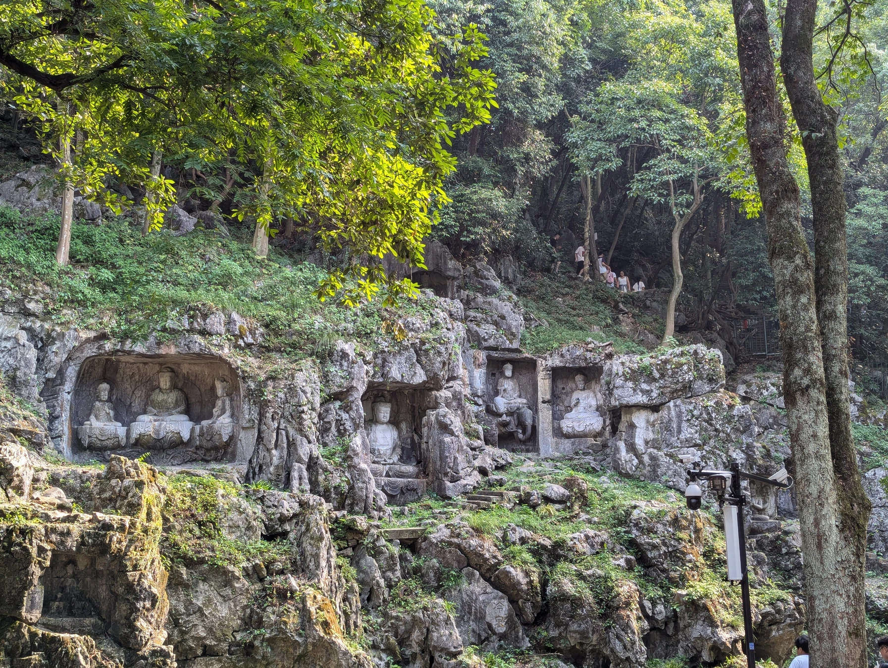Buddhist grotto carvings set into the limestone and woodland at Feilai Peak