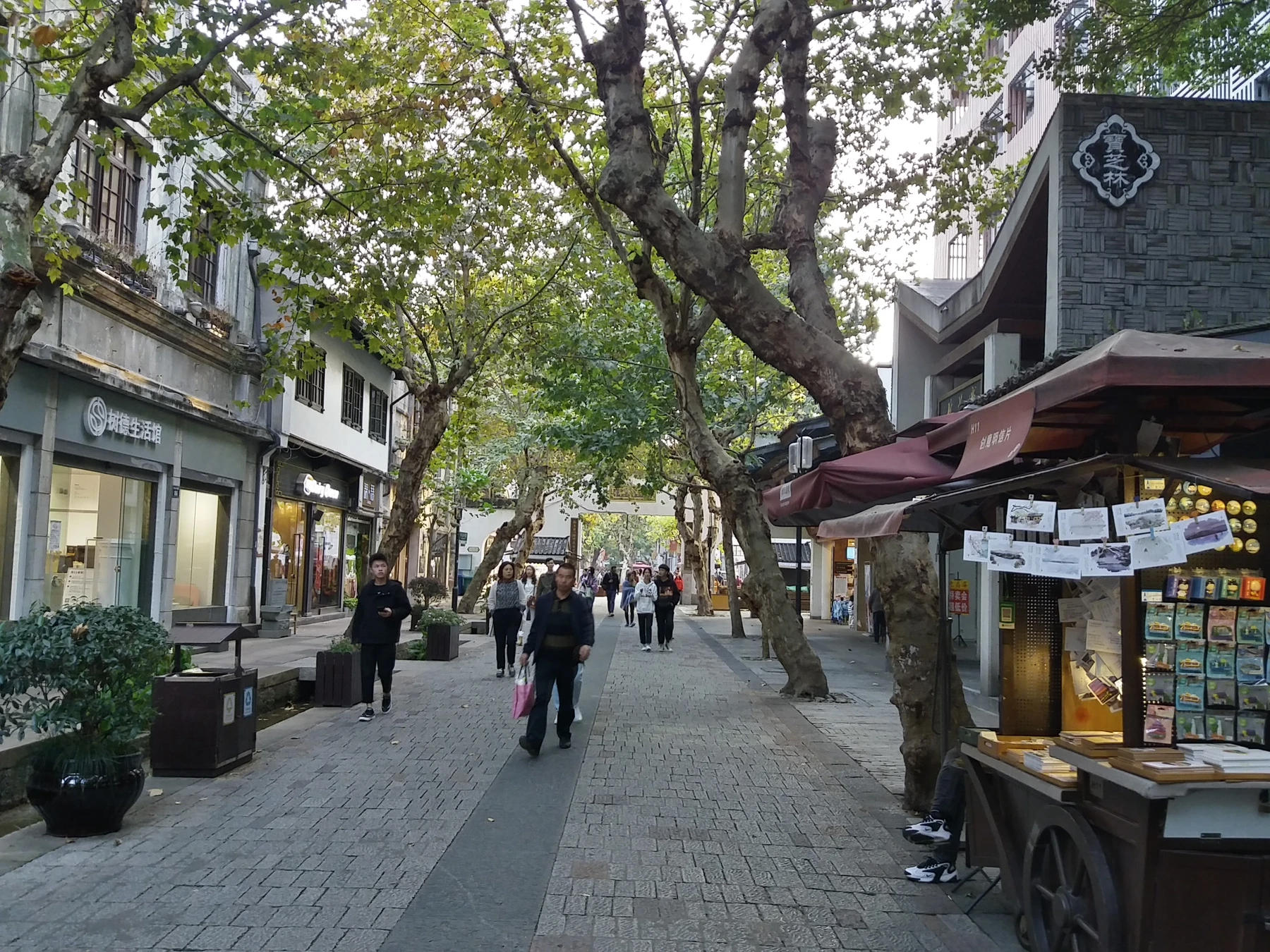 Tree-shaded pedestrian section of Southern Song Imperial Street in Hangzhou