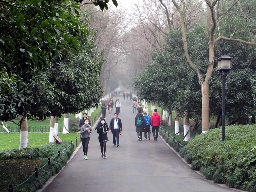 Tree-lined walking path on Su Causeway at West Lake