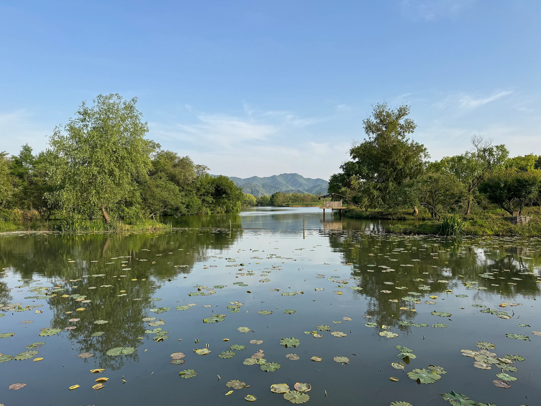 Xixi Wetland