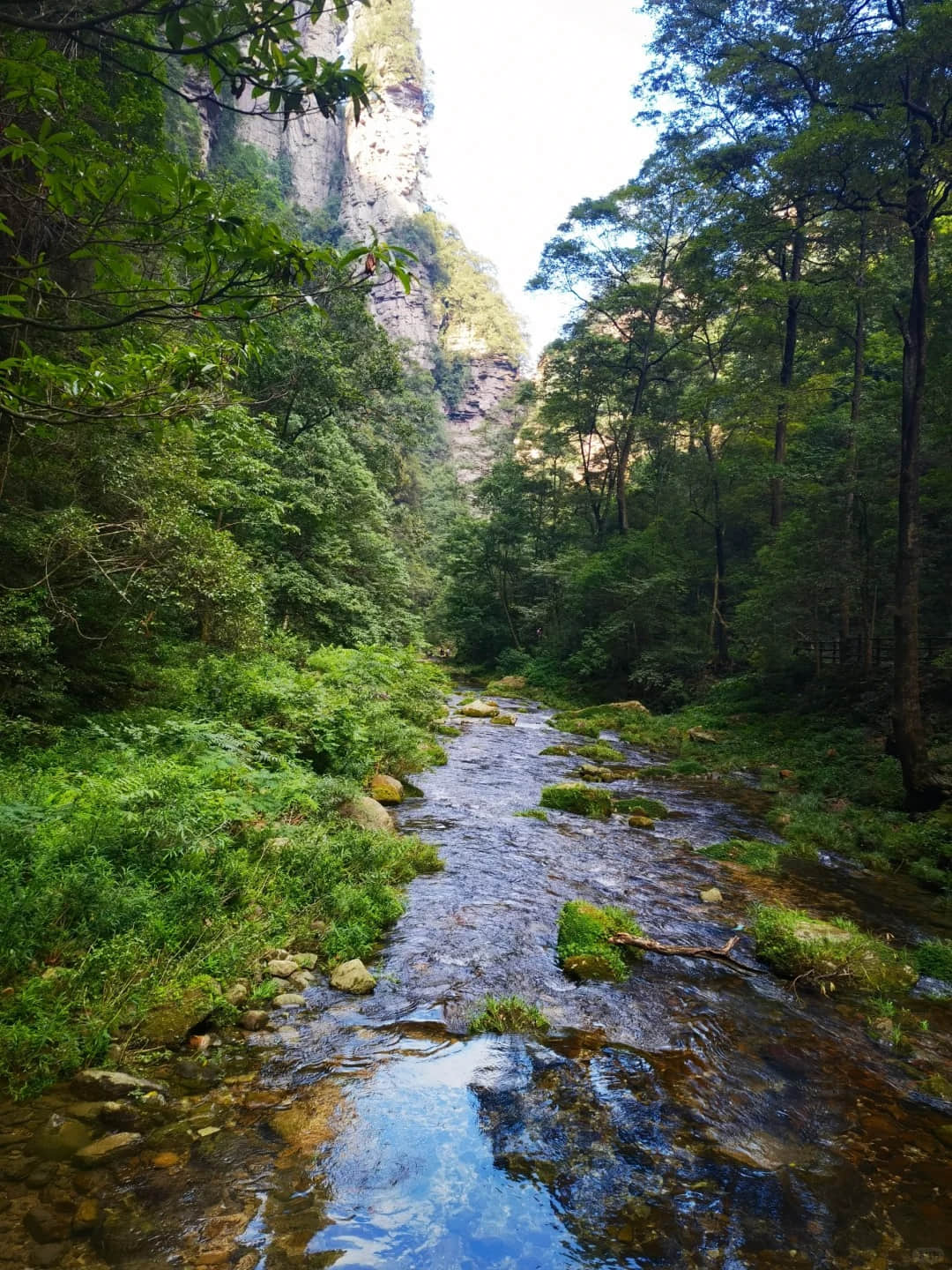 Scenic walking path along Golden Whip Stream surrounded by towering peaks