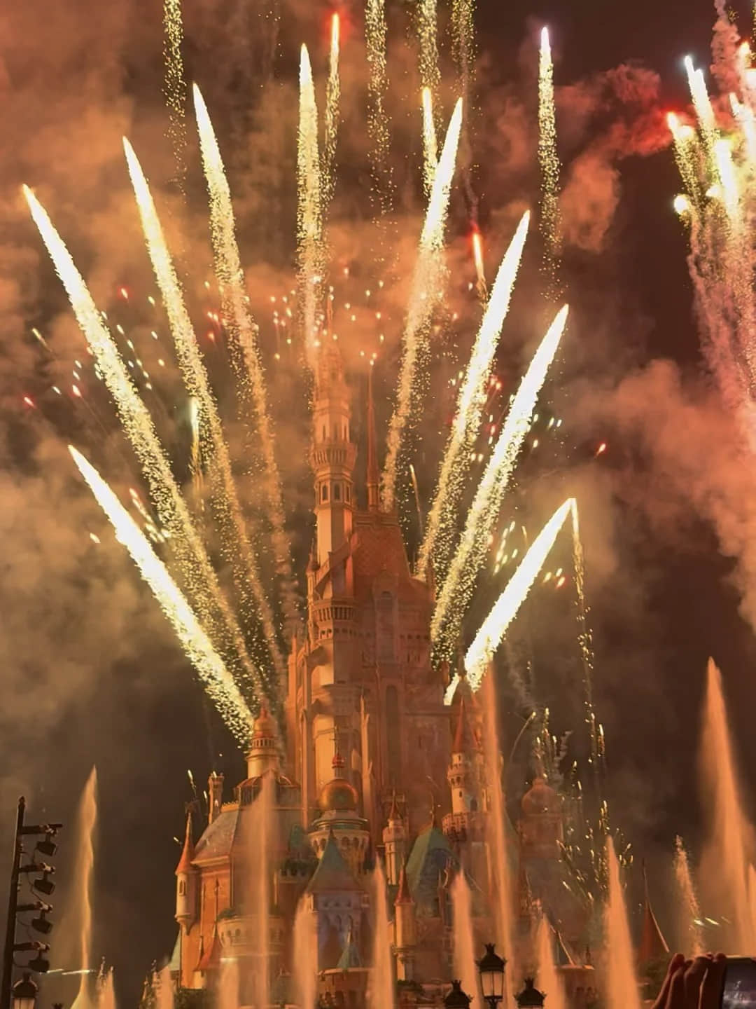 Disney Castle fireworks at night