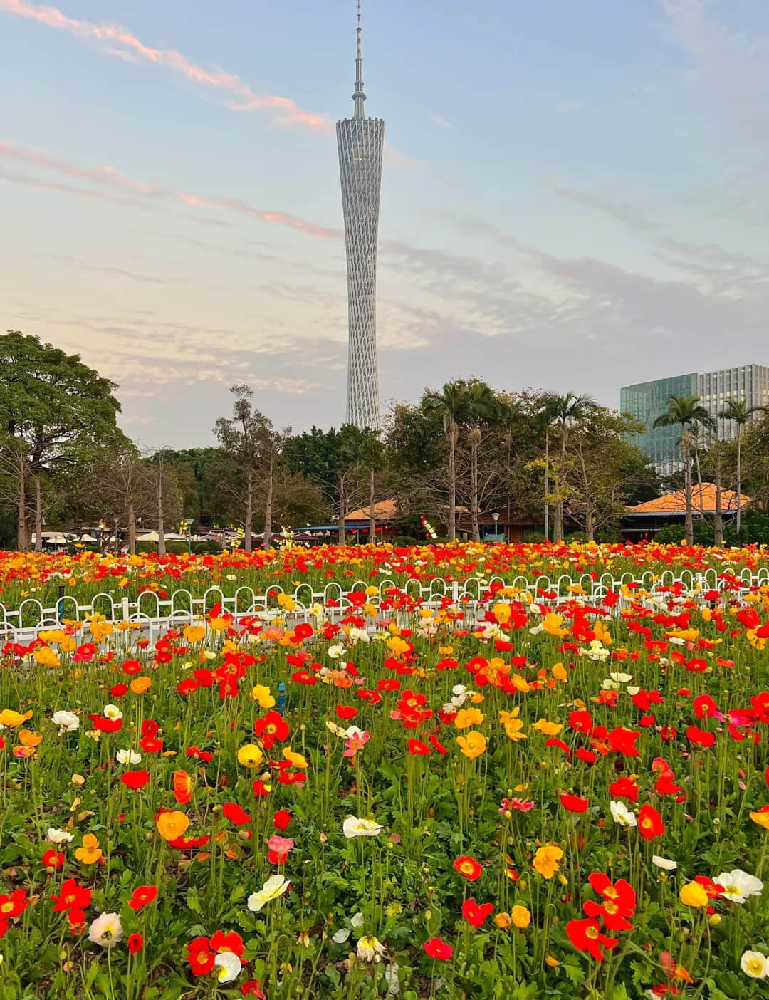 Hongcheng Park