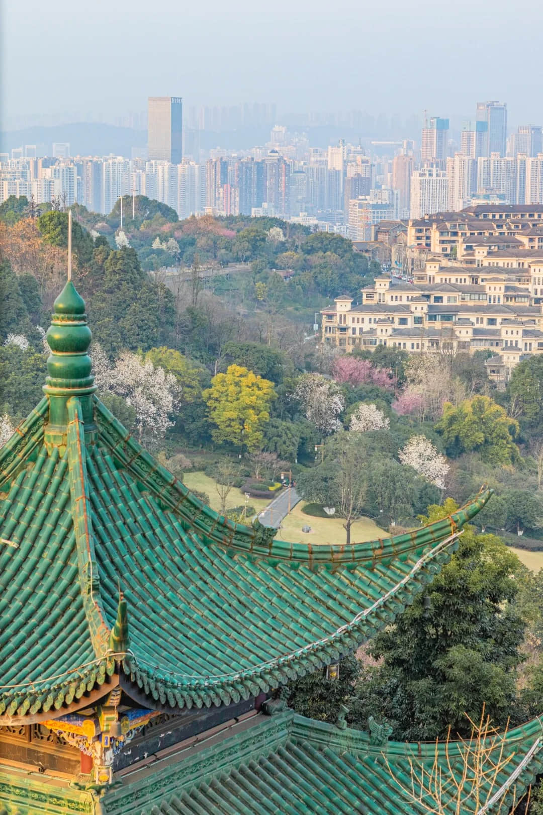 Panoramic view of Chongqing from Hong'en Temple Forest Park