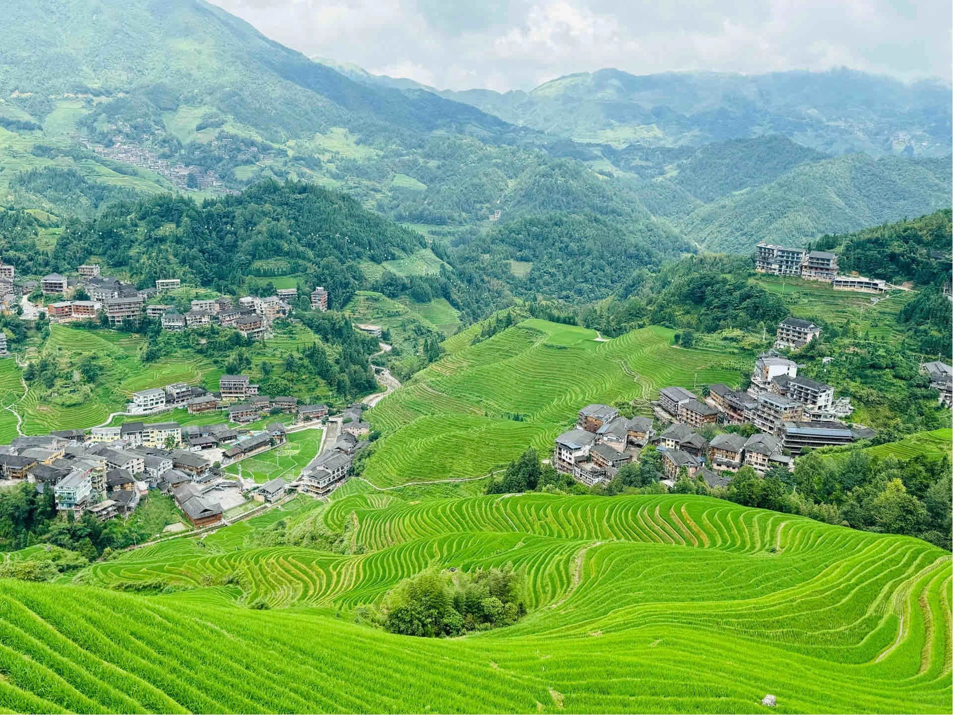 Jinkeng Village terraces with traditional houses