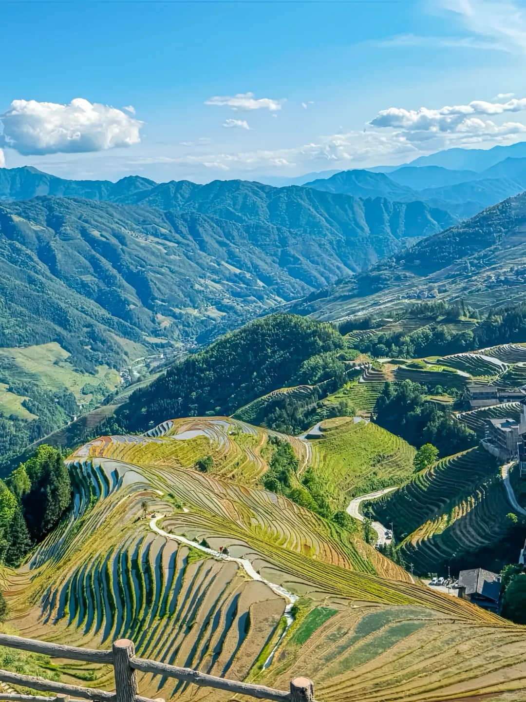 Aerial view of Jinkeng Village terraces and mountains