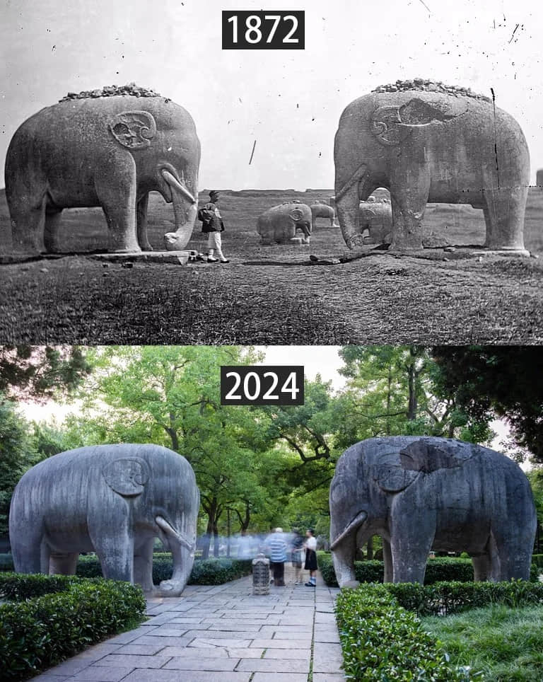 Ancient and modern comparison of elephant statue at Ming Xiaoling Mausoleum