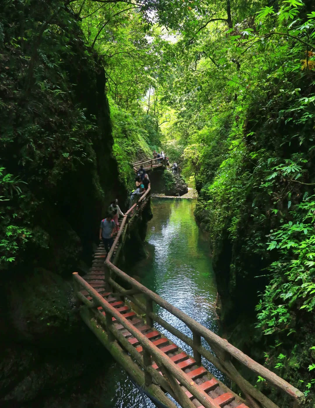 Wooden walkways and streams in Mount Qingcheng