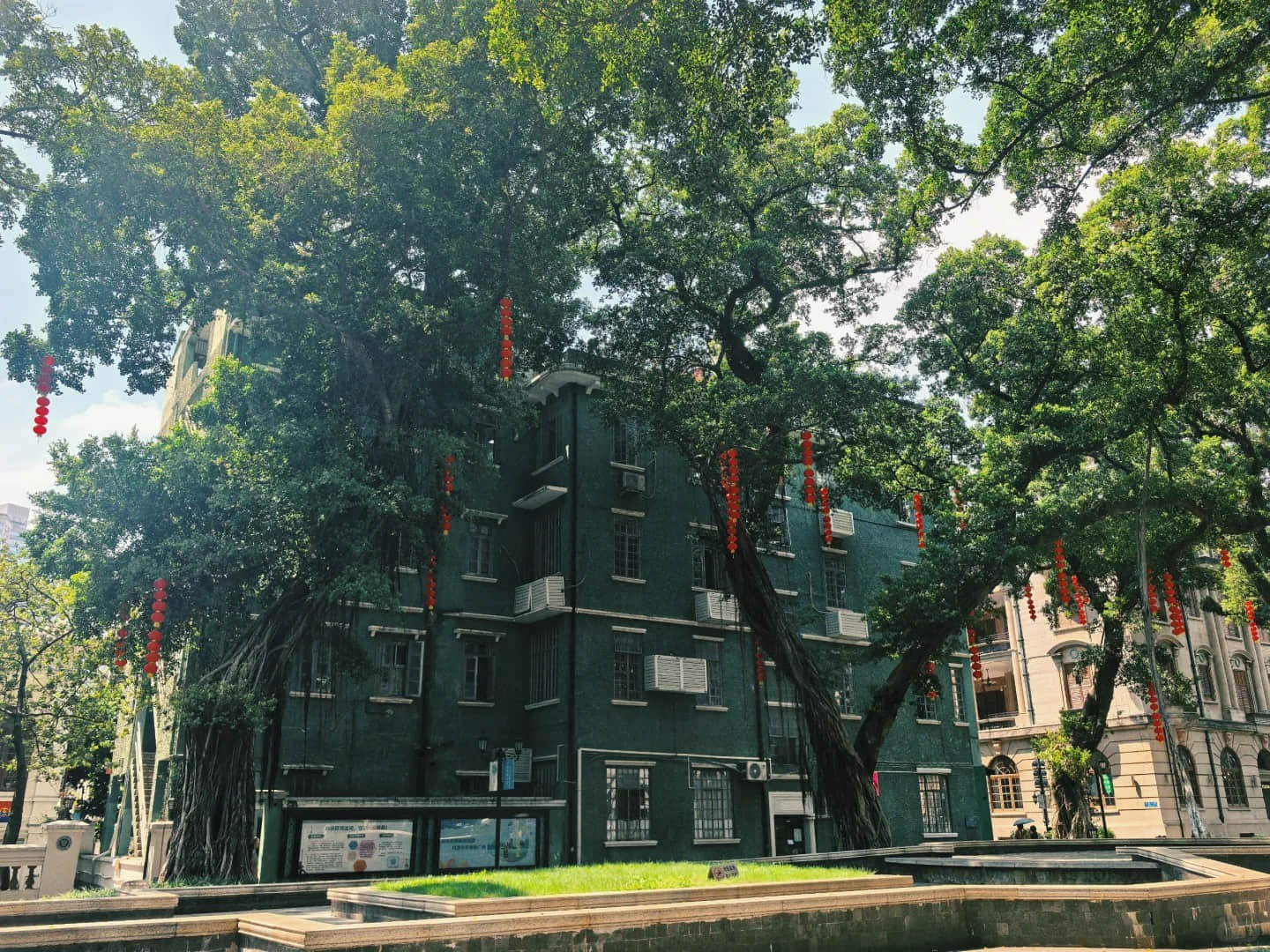 Tree-lined avenue with colonial architecture on Shamian Island