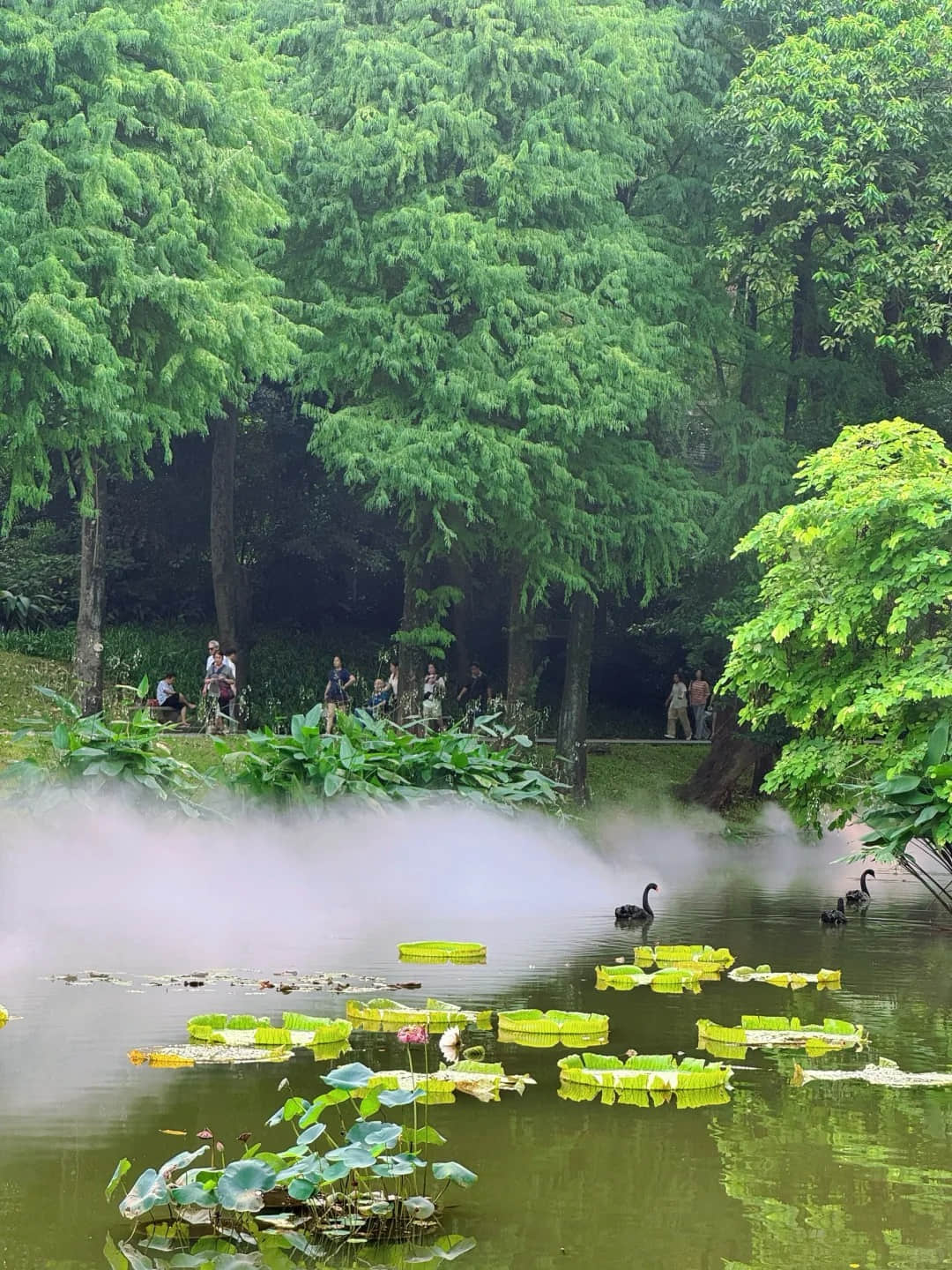 Lake view with wildlife in Yuexiu Park