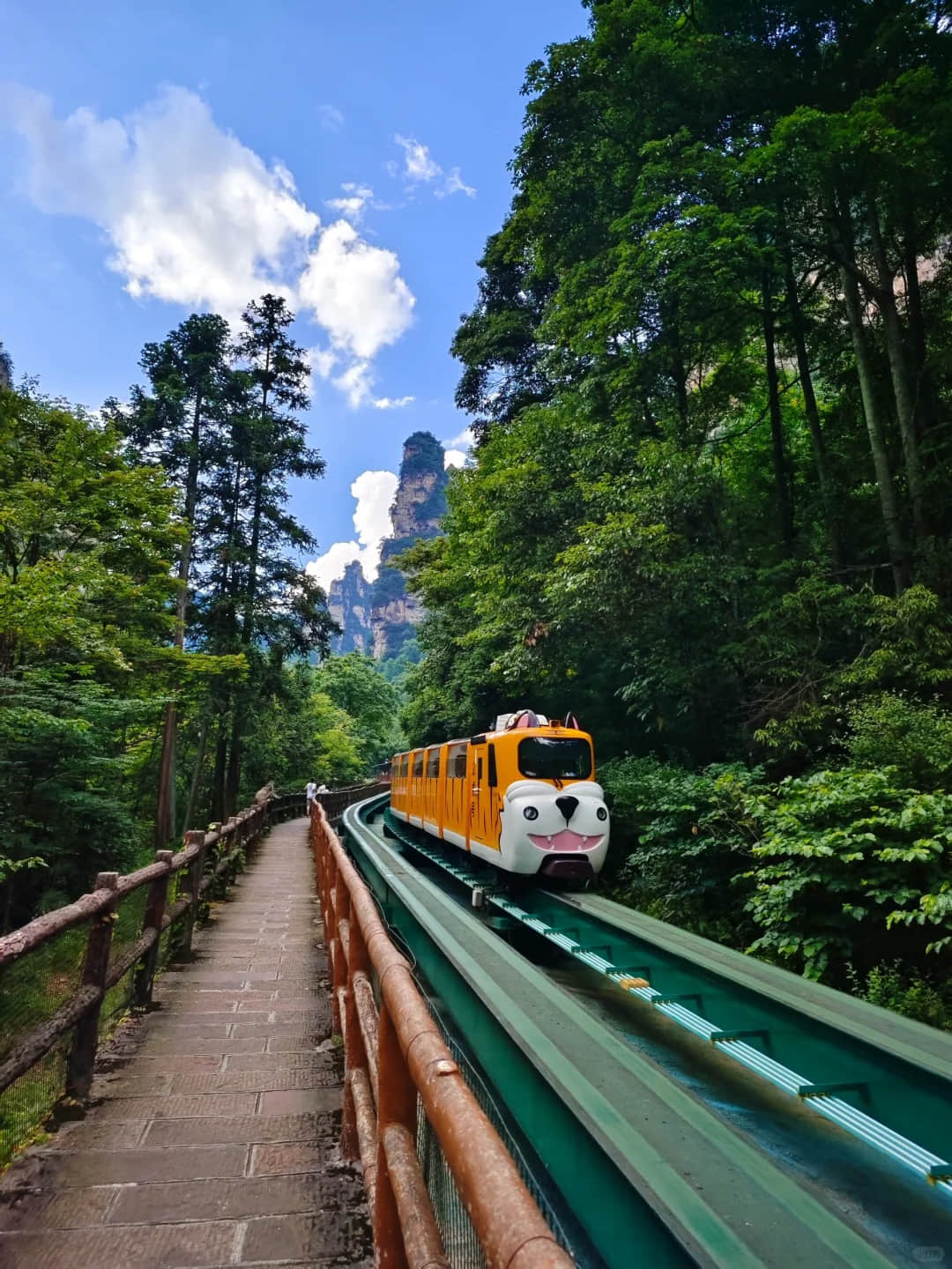 The sightseeing train winding through the dramatic landscape of Ten-Mile Gallery